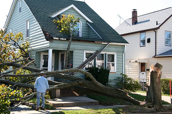 Roof-storm-damage-tree